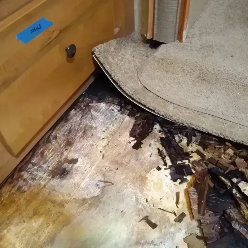 Wood Floor Water Damage in Frederick County, MD